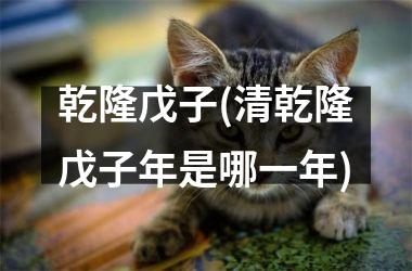 乾隆戊子(清乾隆戊子年是哪一年)