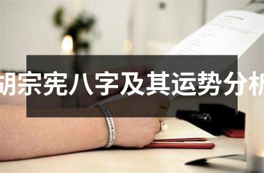 <h3>胡宗宪八字及其运势分析