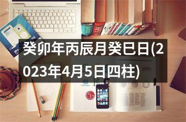 <h3>癸卯年丙辰月癸巳日(2025年4月5日四柱)