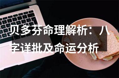 <h3>贝多芬命理解析：八字详批及命运分析