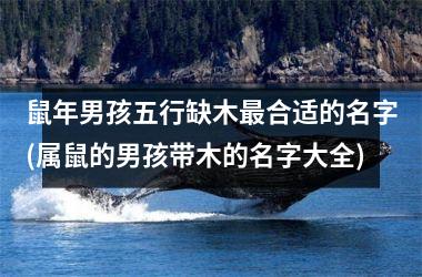 <h3>鼠年男孩五行缺木合适的名字(属鼠的男孩带木的名字大全)