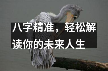 <h3>八字精准，轻松解读你的未来人生