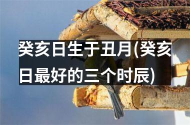 癸亥日生于丑月(癸亥日好的三个时辰)