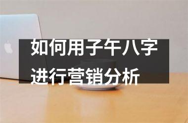 <h3>如何用子午八字进行营销分析