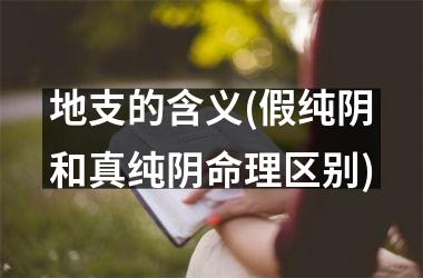 <h3>地支的含义(假纯阴和真纯阴命理区别)
