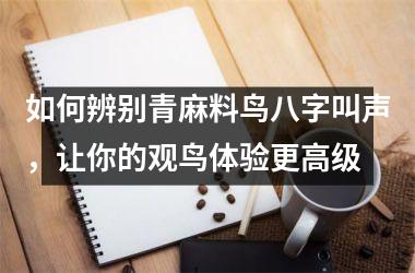 如何辨别青麻料鸟八字叫声，让你的观鸟体验更高级
