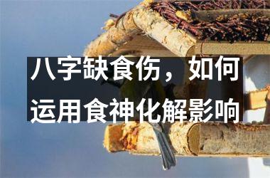 <h3>八字缺食伤，如何运用食神化解影响