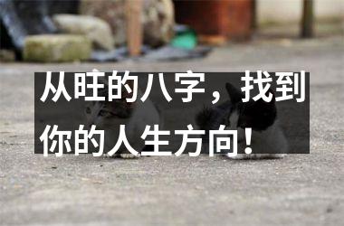 <h3>从旺的八字，找到你的人生方向！