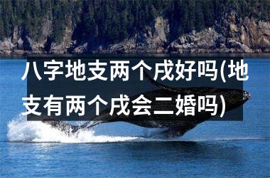 <h3>八字地支两个戌好吗(地支有两个戌会二婚吗)