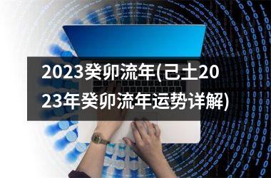 <h3>2025癸卯流年(己土2025年癸卯流年运势详解)