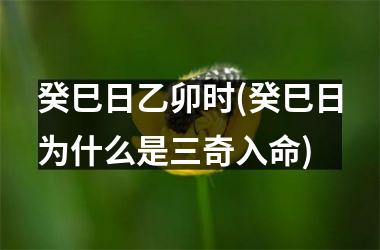 <h3>癸巳日乙卯时(癸巳日为什么是三奇入命)