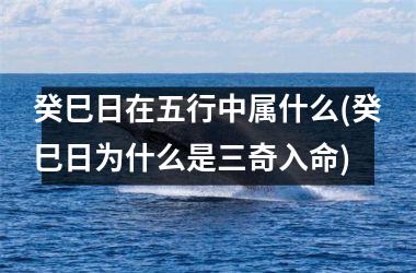 <h3>癸巳日在五行中属什么(癸巳日为什么是三奇入命)