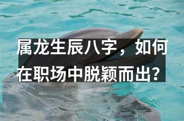 <h3>属龙生辰八字，如何在职场中脱颖而出？