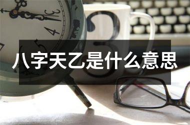 <h3>八字天乙是什么意思