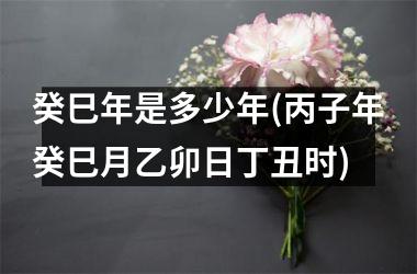 <h3>癸巳年是多少年(丙子年癸巳月乙卯日丁丑时)