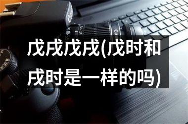 <h3>戊戌戊戌(戊时和戌时是一样的吗)