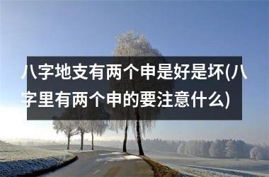 八字地支有两个申是好是坏(八字里有两个申的要注意什么)