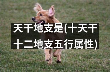 <h3>天干地支是(十天干十二地支五行属性)