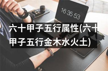 <h3>六十甲子五行属性(六十甲子五行金木水火土)
