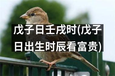 <h3>戊子日壬戌时(戊子日出生时辰看富贵)