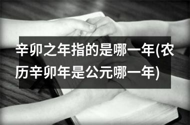 <h3>辛卯之年指的是哪一年(农历辛卯年是公元哪一年)