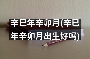 <h3>辛巳年辛卯月(辛巳年辛卯月出生好吗)