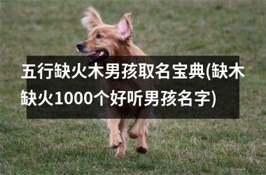 <h3>五行缺火木男孩取名宝典(缺木缺火1000个好听男孩名字)