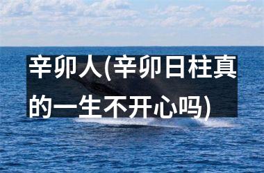 <h3>辛卯人(辛卯日柱真的一生不开心吗)