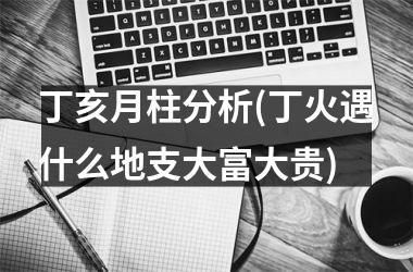 <h3>丁亥月柱分析(丁火遇什么地支大富大贵)