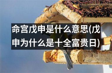 <h3>命宫戊申是什么意思(戊申为什么是十全富贵日)