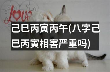 <h3>己巳丙寅丙午(八字己巳丙寅相害严重吗)