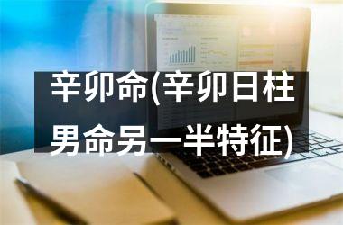 辛卯命(辛卯日柱男命另一半特征)