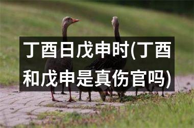 <h3>丁酉日戊申时(丁酉和戊申是真伤官吗)