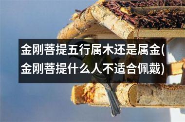 金刚菩提五行属木还是属金(金刚菩提什么人不适合佩戴)