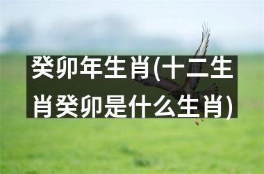 <h3>癸卯年生肖(十二生肖癸卯是什么生肖)