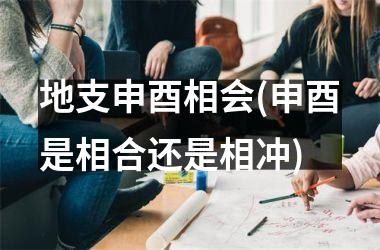 地支申酉相会(申酉是相合还是相冲)