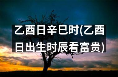 <h3>乙酉日辛巳时(乙酉日出生时辰看富贵)