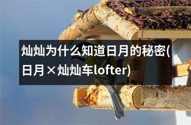 <h3>灿灿为什么知道日月的秘密(日月×灿灿车lofter)