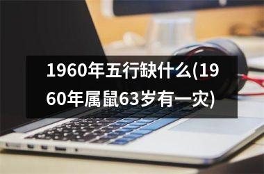 <h3>1960年五行缺什么(1960年属鼠63岁有一灾)