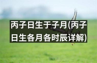 丙子日生于子月(丙子日生各月各时辰详解)