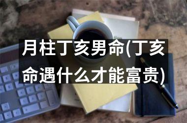 <h3>月柱丁亥男命(丁亥命遇什么才能富贵)