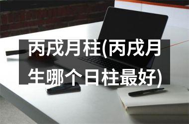 <h3>丙戌月柱(丙戌月生哪个日柱最好)