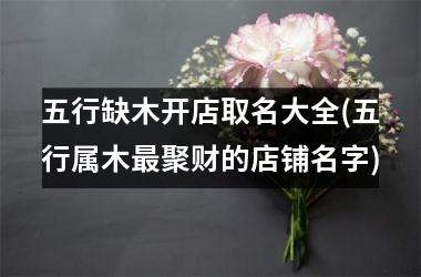 <h3>五行缺木开店取名大全(五行属木最聚财的店铺名字)