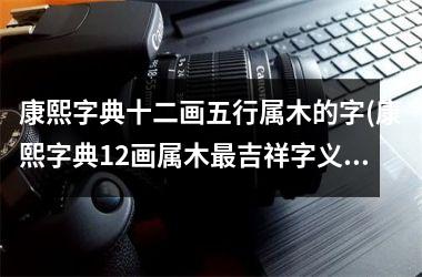 <h3>康熙字典十二画五行属木的字(康熙字典12画属木最吉祥字义)