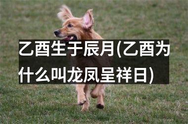 <h3>乙酉生于辰月(乙酉为什么叫龙凤呈祥日)