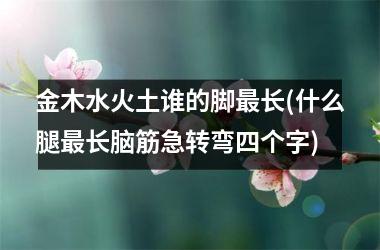 金木水火土谁的脚最长(什么腿最长脑筋急转弯四个字)