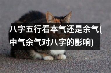 <h3>八字五行看本气还是余气(中气余气对八字的影响)