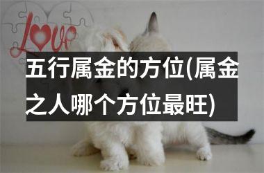 <h3>五行属金的方位(属金之人哪个方位最旺)