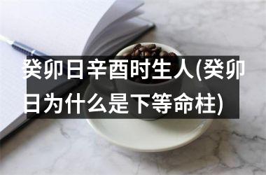 <h3>癸卯日辛酉时生人(癸卯日为什么是下等命柱)