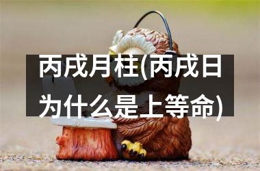 <h3>丙戌月柱(丙戌日为什么是上等命)